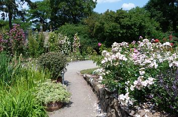 Gartenweg im Europa-Rosarium