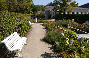 Heckengarten im Kurpark Bad Salzelmen