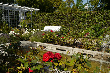 Heckengarten im Kurpark Bad Salzelmen