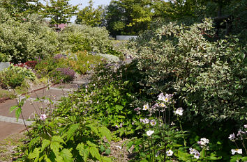 Themengarten im Bürgerpark Wernigerode