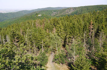 Blick vom Kaiserturm bei Wernigerode