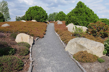 Heidelandschaft Lausitzer Findlingspark Nochten