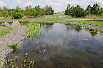 Teich im Lausitzer Findlingspark Nochten