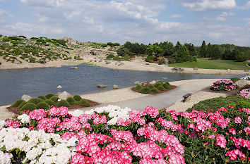 Rhododendren und Teich im Lausitzer Findlingspark Nochten