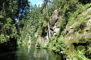 Felsen in der Schlucht der Kirnitzsch