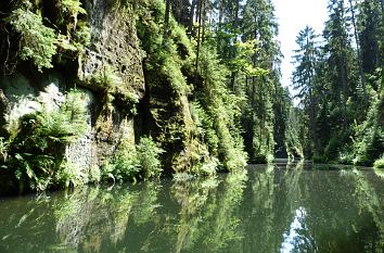 Kirnitzschklamm mit Felsen