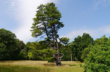 Landschaftspark Kloster Wechselburg