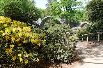 Rhododendron und Rakotzbrücke Kromlauer Park