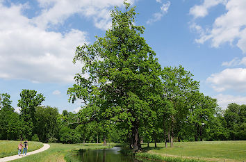 Fürst-Pückler-Park in Bad Muskau