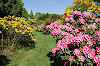 Rhododendronparks in Deutschland