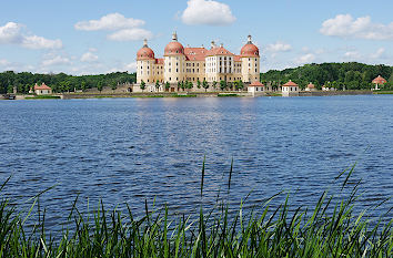 Schloss Moritzburg im Schlossteich