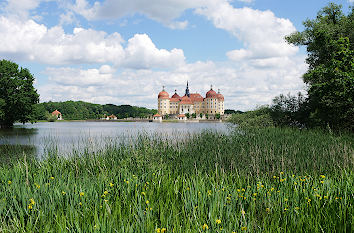 Schloss Moritzburg