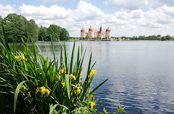 Schloss Moritzburg