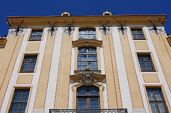 Hirschgeweihe am Schloss Moritzburg