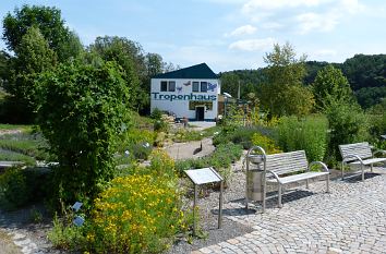 Kurpark Wiesenbad mit Tropenhaus