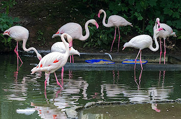 Tierpark Chemnitz