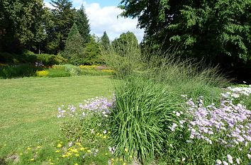 Staudengarten Großer Garten Dresden