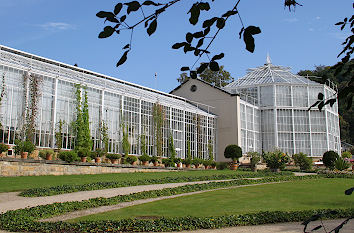 Palmenhaus Schloss Pillnitz