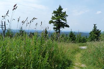 Landschaft am Fichtelberg im Erzgebirge