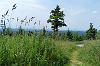 am Fichtelberg im Erzgebirge