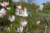 Botanischer Garten Leipzig