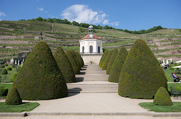 Erlebnisweingut Schloss Wackerbarth