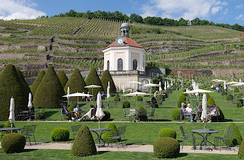 Erlebnisweingut Schloss Wackerbarth Radebeul