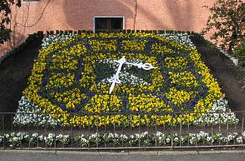 Blumenuhr an der Fleischerbastei in Zittau