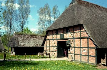 Bauernhof im Freilichtmuseum Molfsee