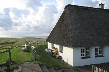 Warft auf der Hamburger Hallig