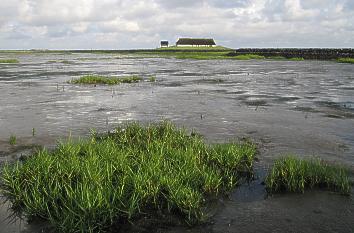 Wattenmeer an der Hamburger Hallig