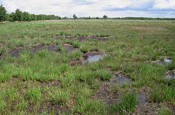 Jardelunder Moor