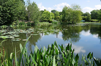 See im Arboretum Ellerhoop-Thiensen