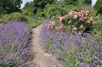 Arboretum Ellerhoop-Thiensen