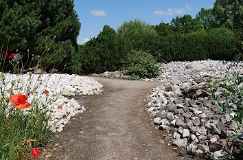 Kiesgarten im Arboretum Ellerhoop-Thiensen