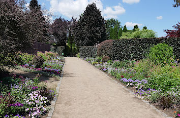 Purpurne Impressionen im Arboretum Ellerhoop-Thiensen