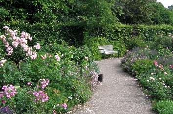 Gartenweg im Rosarium Glücksburg