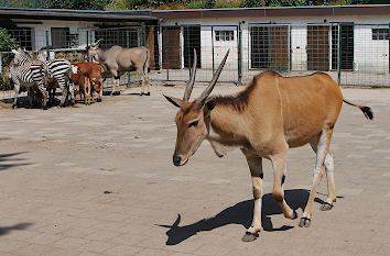 Tierpark Gettorf