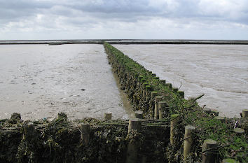 Buhnen in der Nordsee