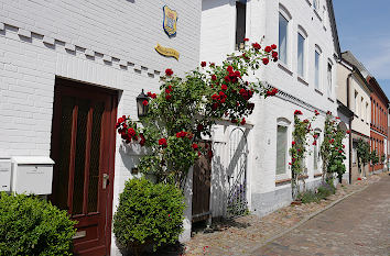 Gasse mit Rosen in Eckernförde