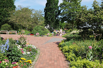 Blumen im Kurpark in Eckernförde