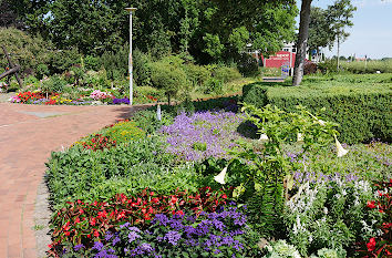 Blumen im Kurpark in Eckernförde