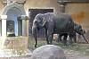 Tierpark Hagenbeck