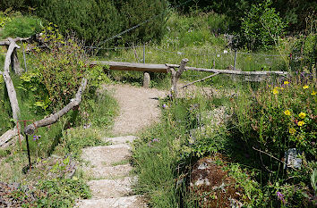 Gebirgslandschaft im Loki-Schmidt-Garten Hamburg