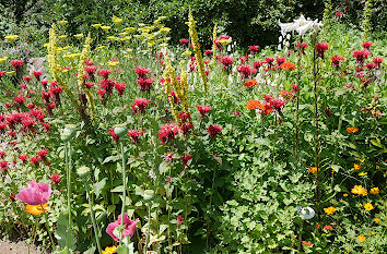 Bauerngarten Botanischer Garten Hamburg