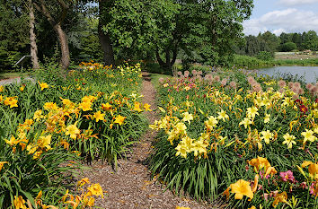 Loki-Schmidt-Garten Hamburg