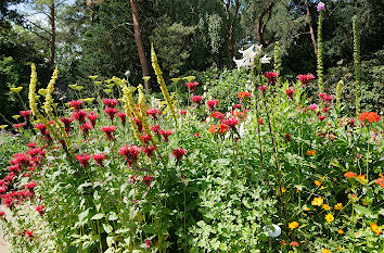 Loki-Schmidt-Garten Hamburg