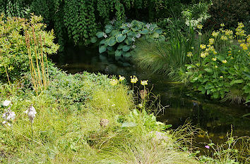 Schattengarten Botanischer Garten Hamburg