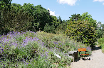 Botanischer Garten in Hamburg