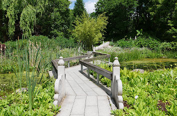 Chinesischer Garten im Botanischen Garten Hamburg